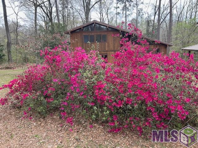 10894 Bains Road St. Francisville, LA 70775 - Photo 2 of 41
