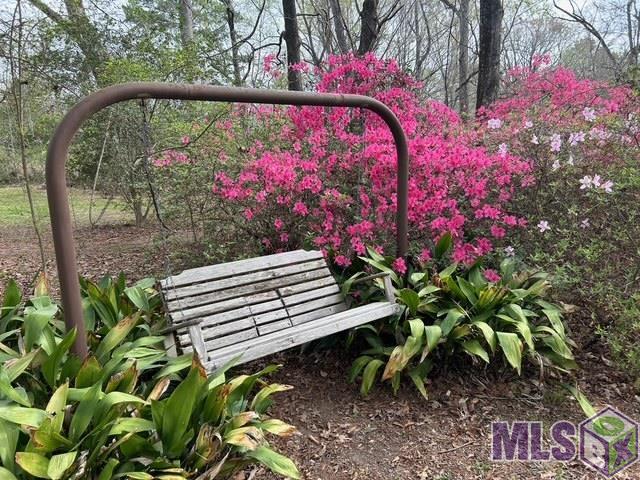 10894 Bains Road St. Francisville, LA 70775 - Photo 29 of 41