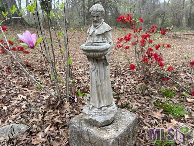 10894 Bains Road St. Francisville, LA 70775 - Photo 3 of 41