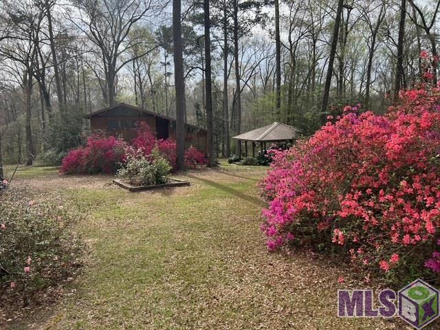 10894 Bains Road St. Francisville, LA 70775 - Photo 36 of 41