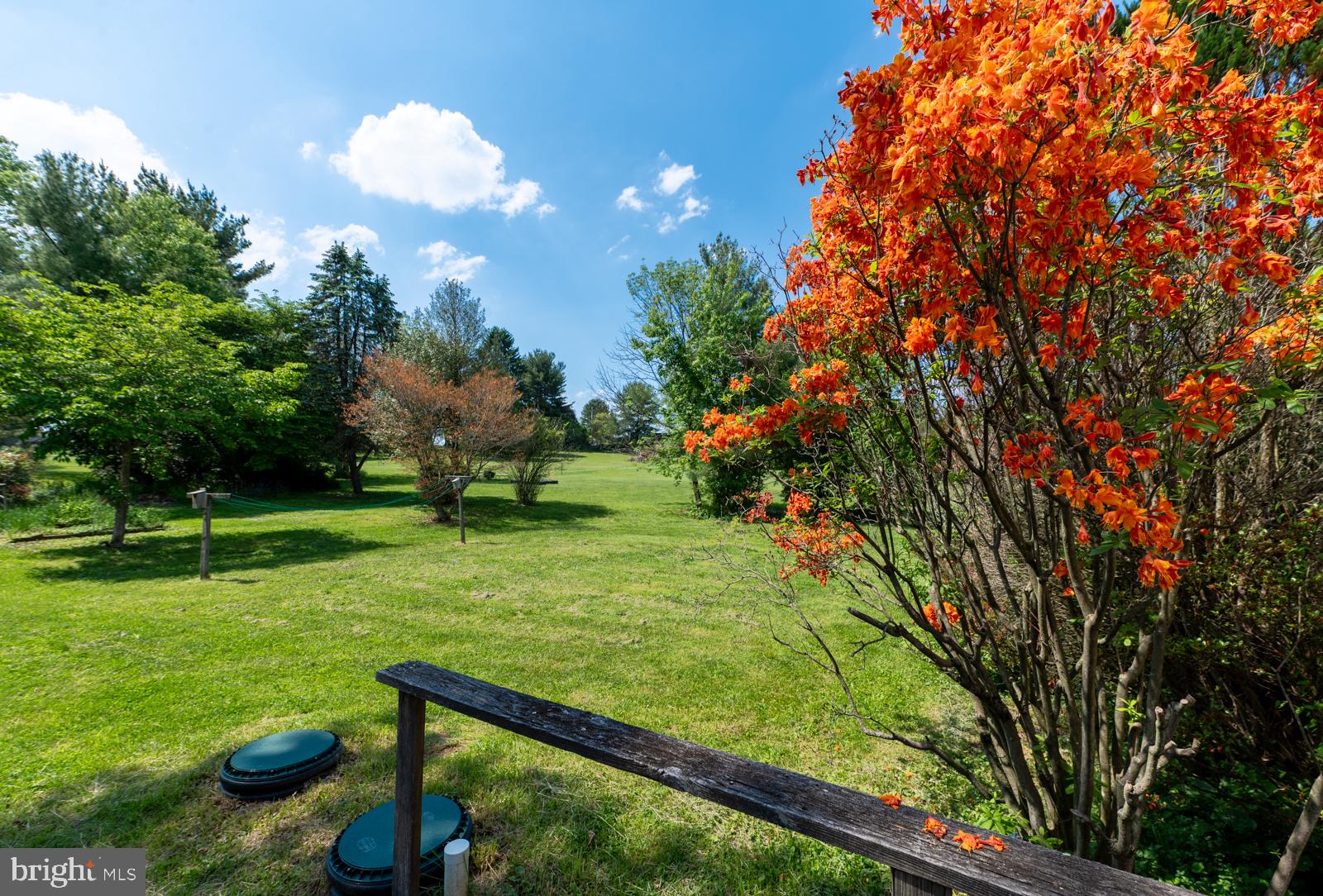 223 Trythall Road Elverson, PA 19520 - Photo 63 of 78 Vibrant autumn hues in serene landscape.