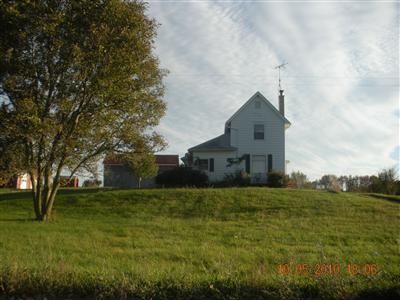 Primary Photo