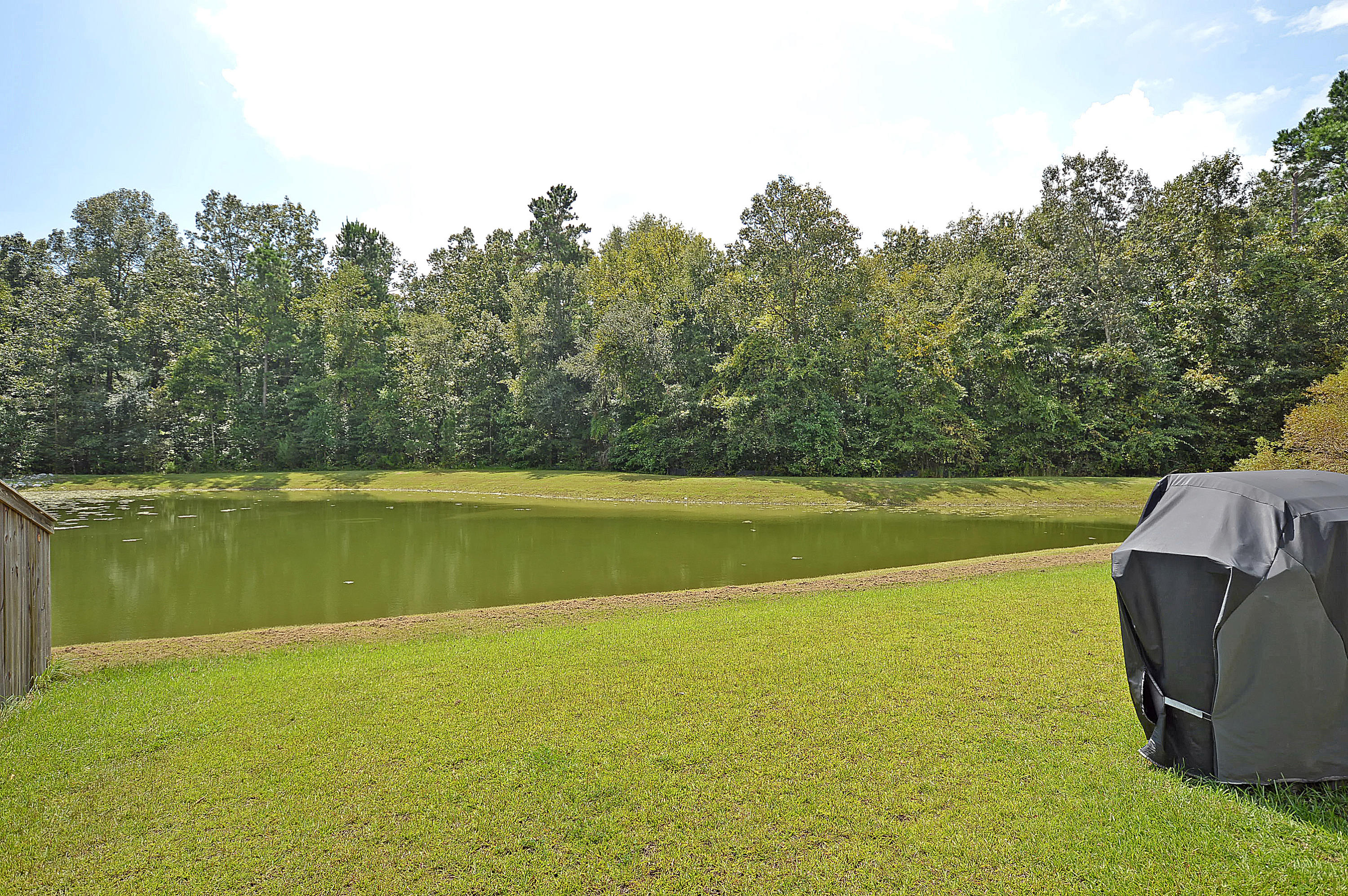 205 Island Green Road Goose Creek, SC 29445 - Photo 4 of 23 Pond View Lot