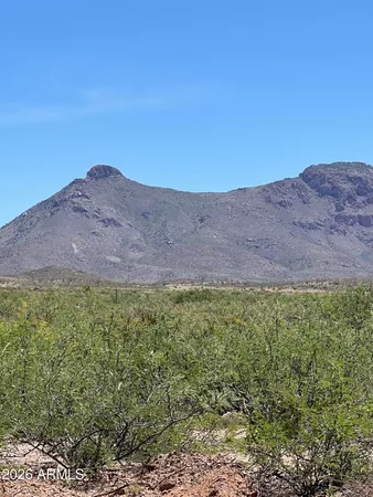 a view of lake and mountain