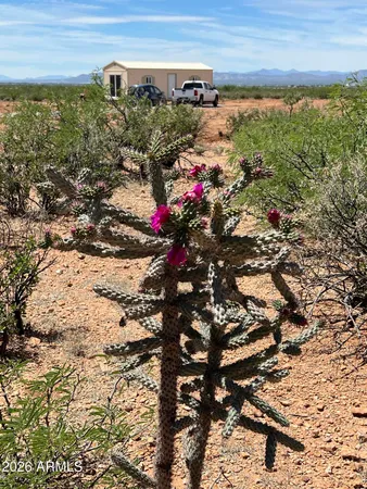 $59,500 | 7691 North Calle Del Prado, Unit 287, Douglas, AZ 85607