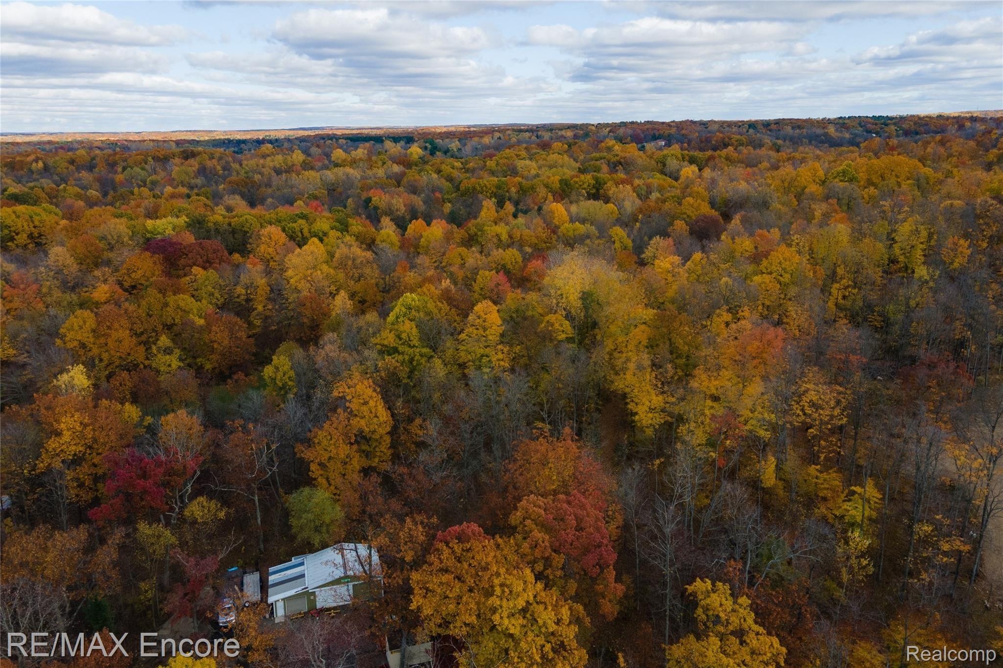 4737 Hadley Road Metamora, MI 48455 - Photo 46 of 50 2020.10