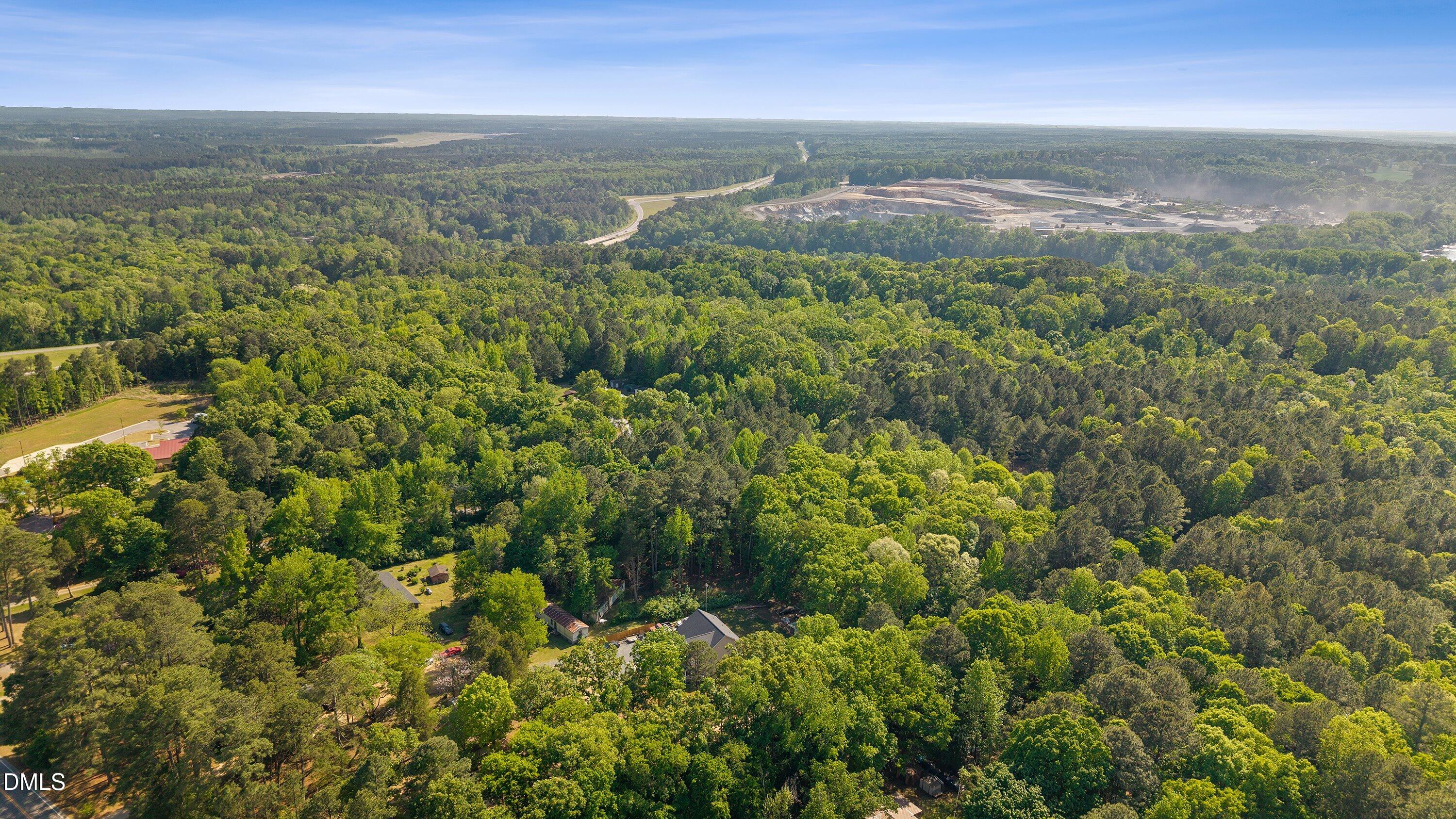 571 Water Tower Road Moncure, NC 27559 - Photo 6 of 7 a view of a city with lush green forest