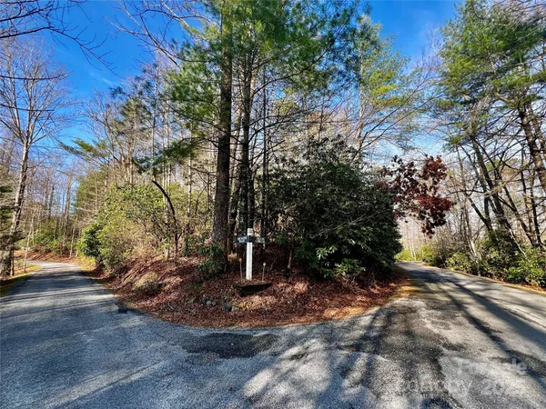 a view of a tree in front of a house