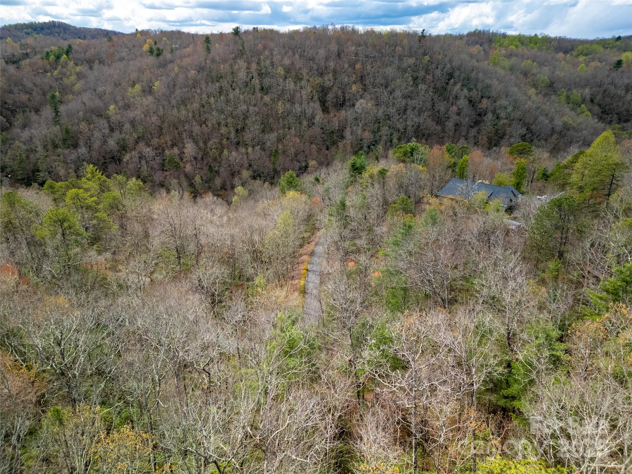 Lot 131 Thunder Road Brevard, NC 28712 - Photo 2 of 18 a view of a lush green forest with lush green forest