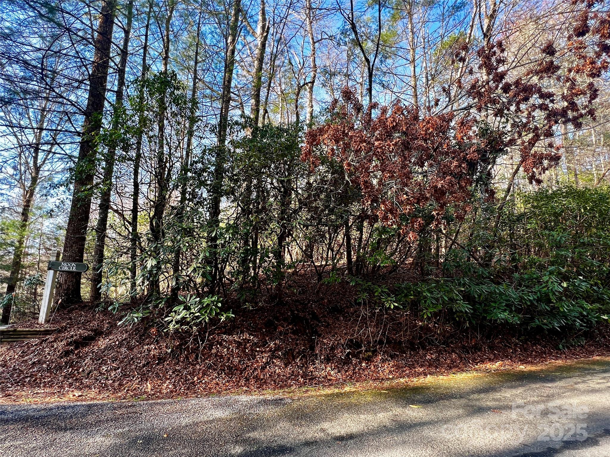 Lot 131 Thunder Road Brevard, NC 28712 - Photo 5 of 18 a view of a yard with plants and trees