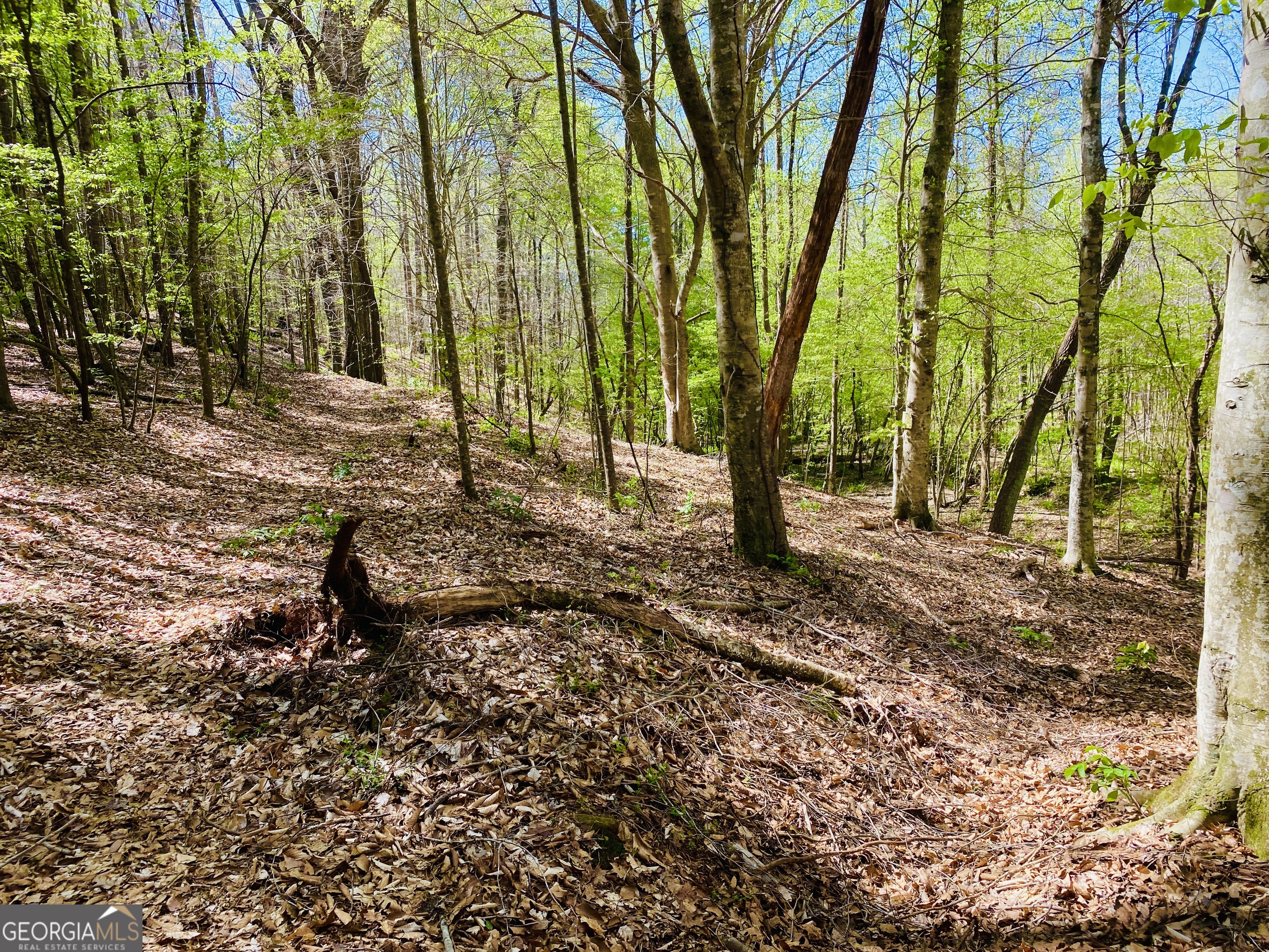 2 B Curry Falls Trail Athens, GA 30607 - Photo 2 of 5 a backyard of a house with lots of green space