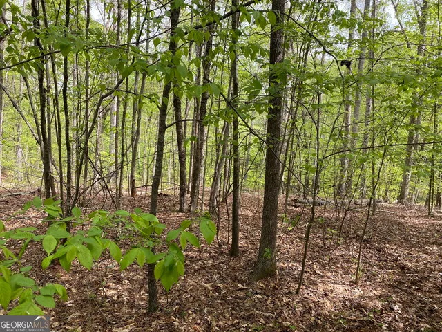 a backyard of a house with lots of green space and trees