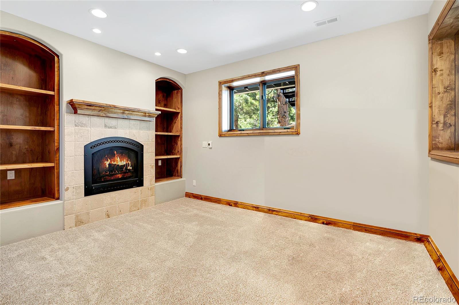 1551 South Snyder Gulch Road Evergreen, CO 80439 - Photo 34 of 48