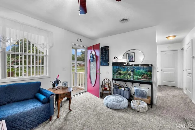 $115,000 | 39344 East Sue Drive, Malden, MO 63863