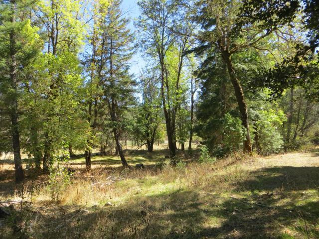 2500 Van Duzen Road Bridgeville, CA 95526 - Photo 43 of 48