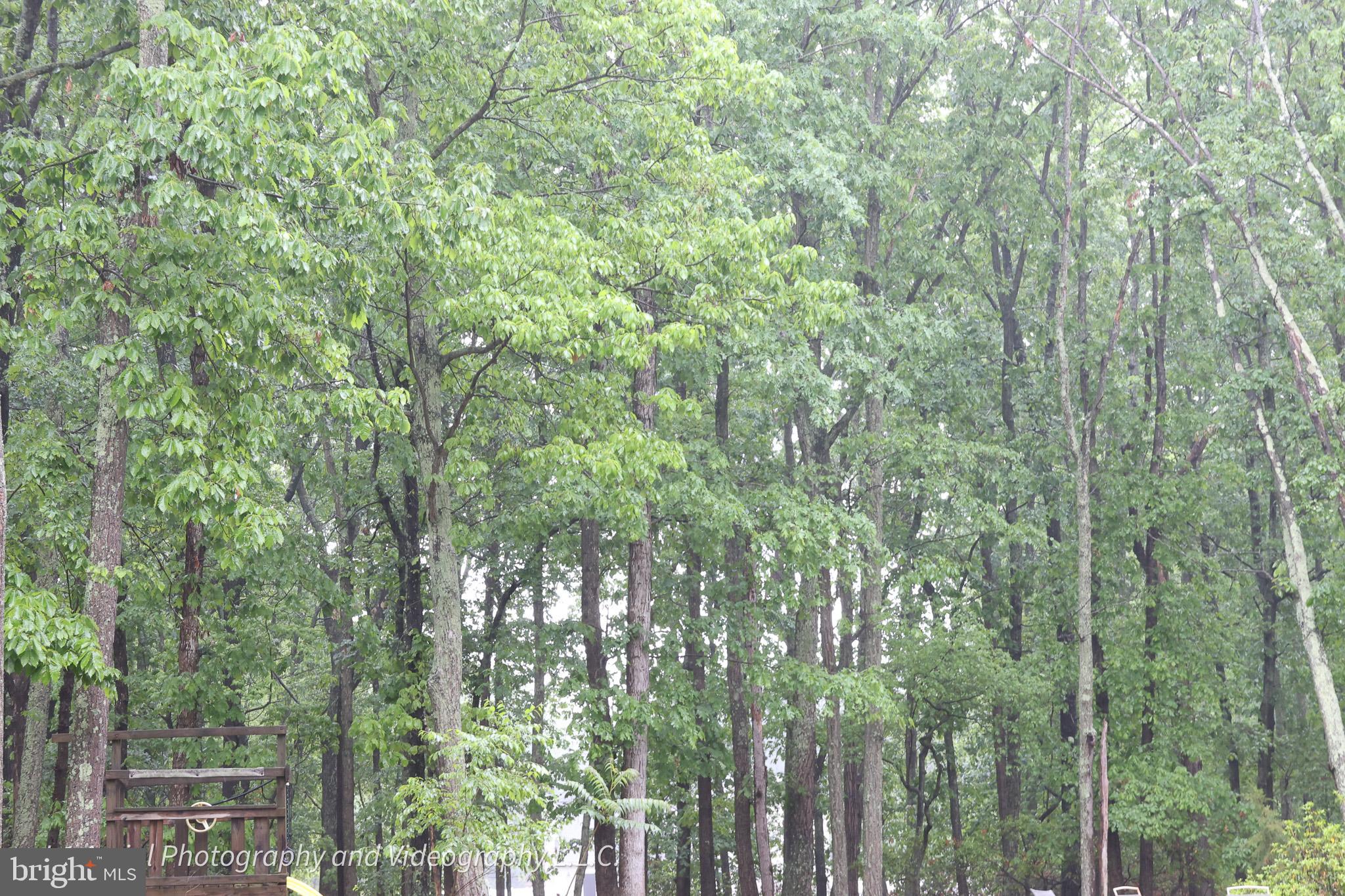 26 Woodside Drive Tabernacle, NJ 08088 - Photo 21 of 22