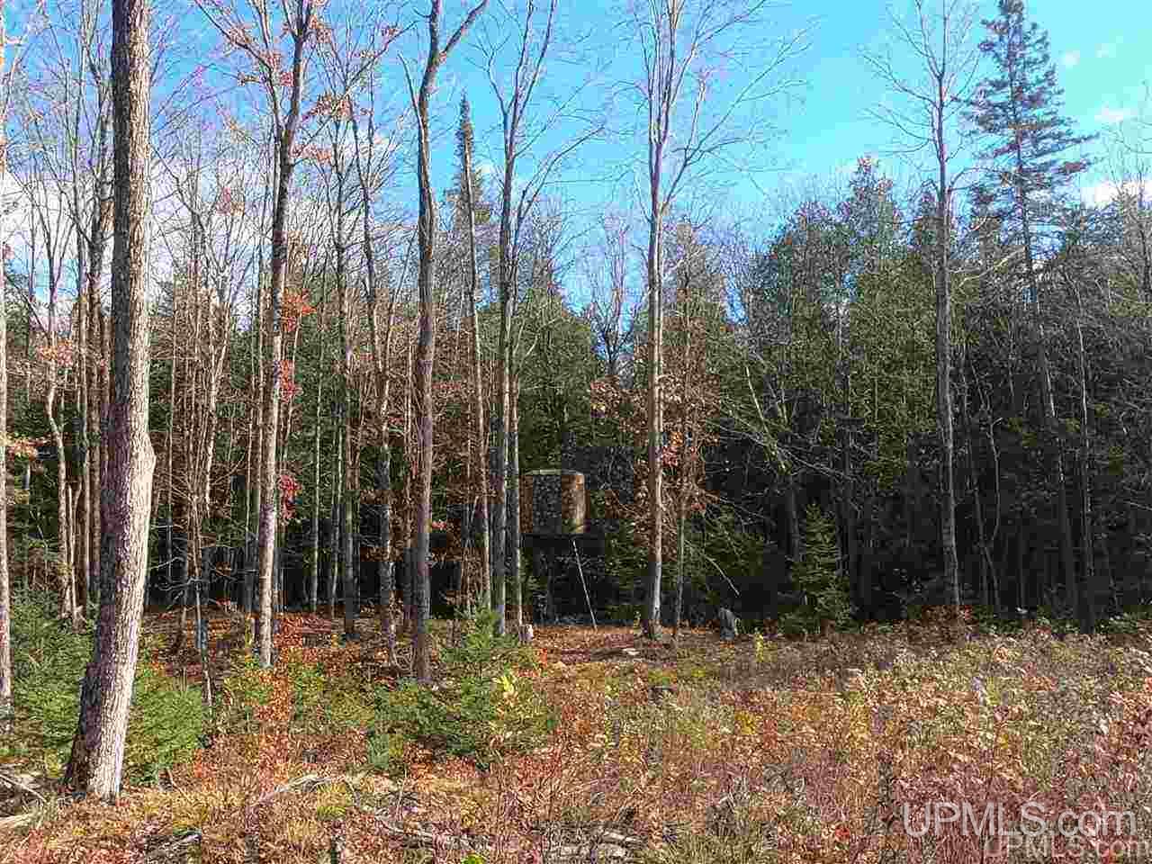 Tbd Tbd Vega Road Hermansville, MI 49847 - Photo 9 of 11