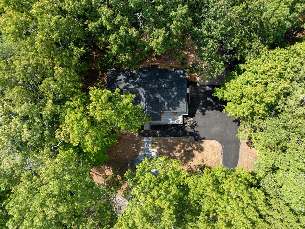 929 Camp Branch Road Ellijay, GA 30540 - Photo 34 of 50 Gallery Image 34
