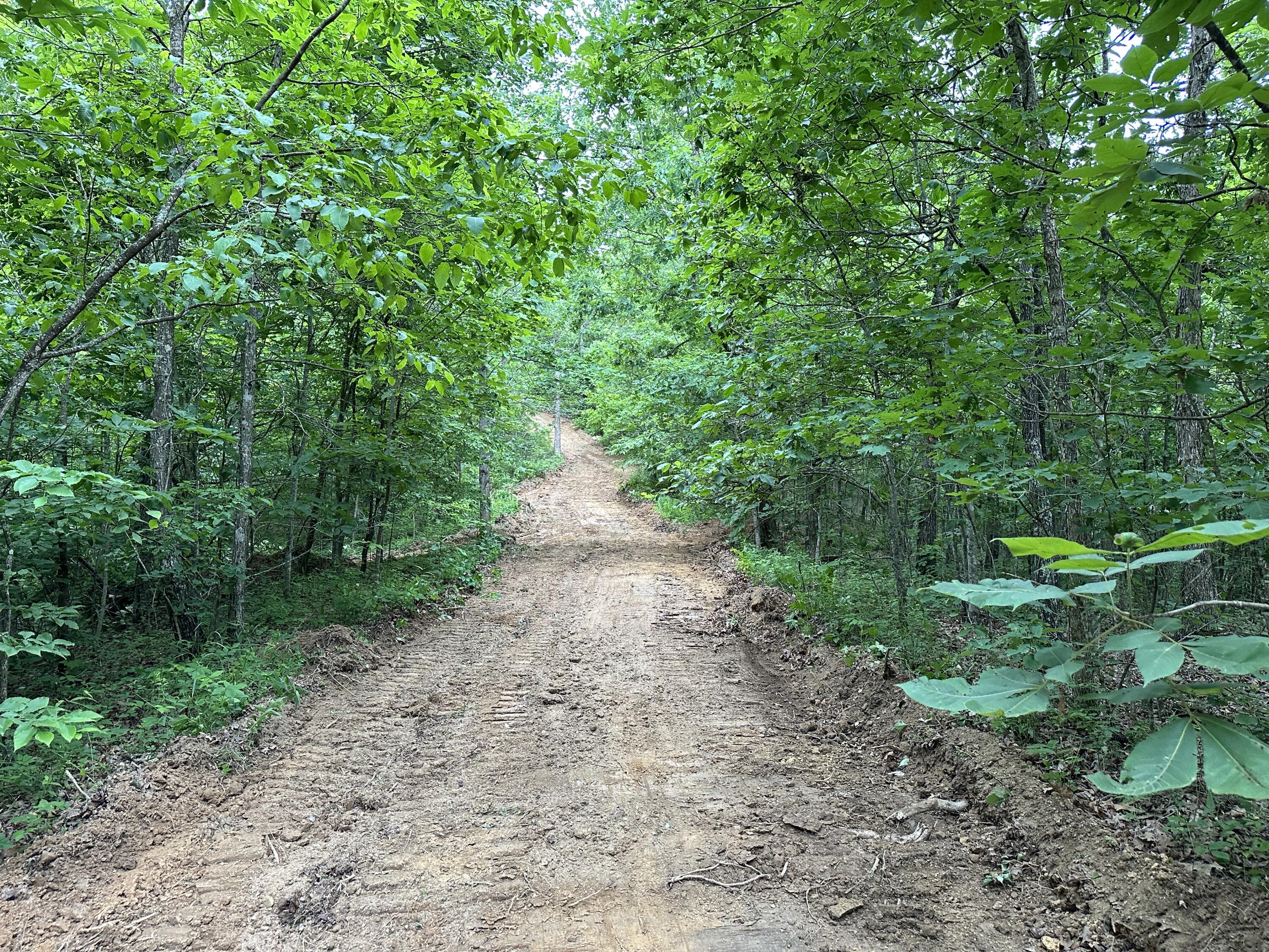14 Williams Creek Road Denton, KY 41132 - Photo 25 of 29 25