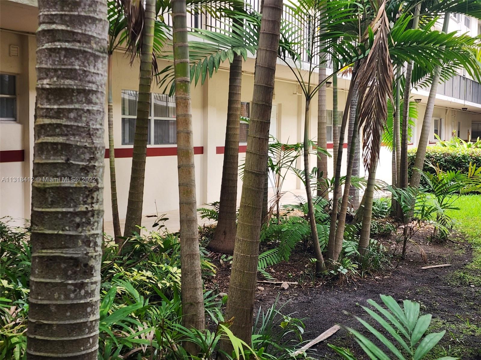 8600 Southwest 67th Avenue, Unit 906 Pinecrest, FL 33156 - Photo 5 of 27 a view of a garden with a plants