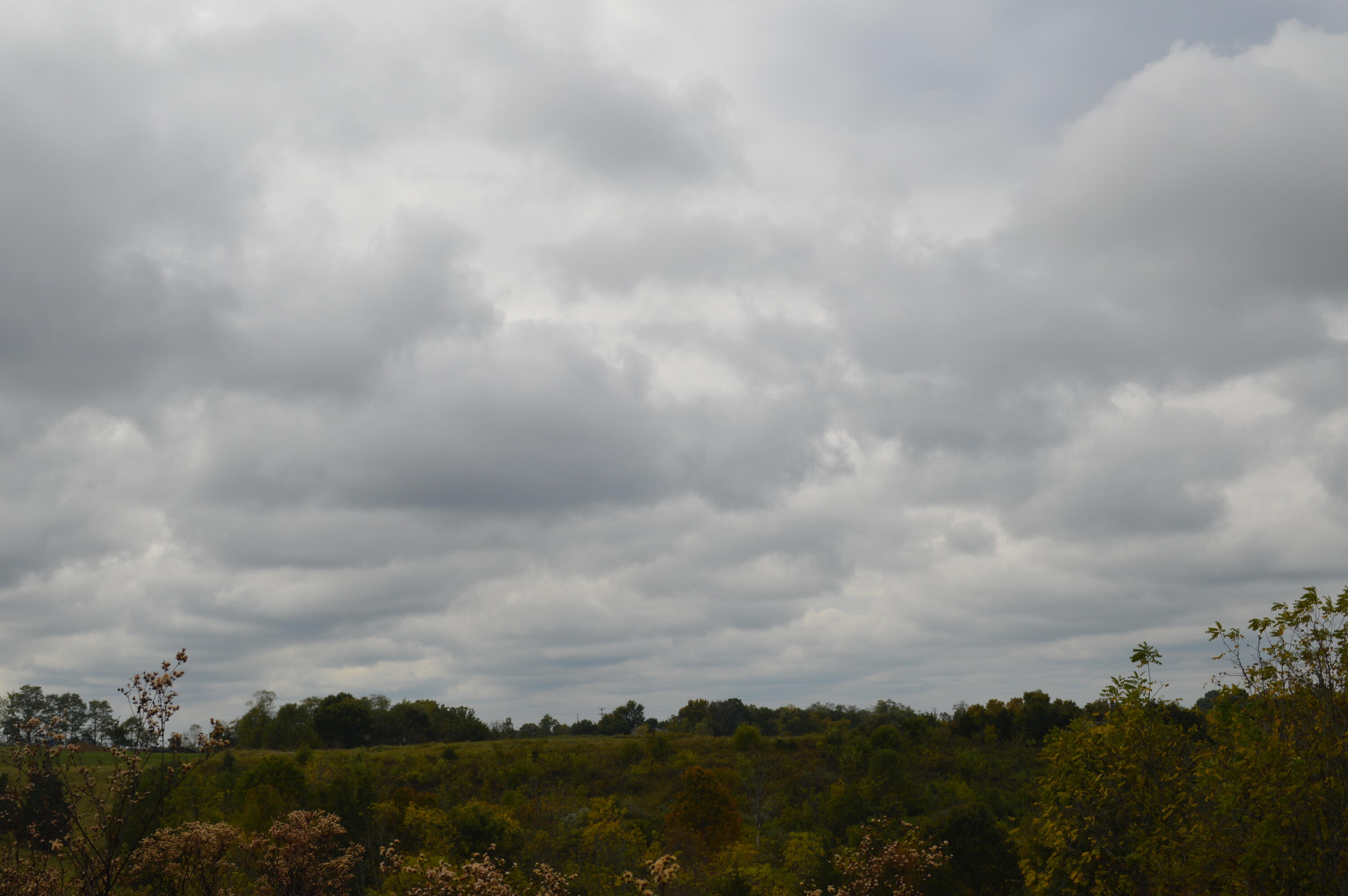 Lot #2 Georgetown Road Owenton, KY 40359 - Photo 9 of 10