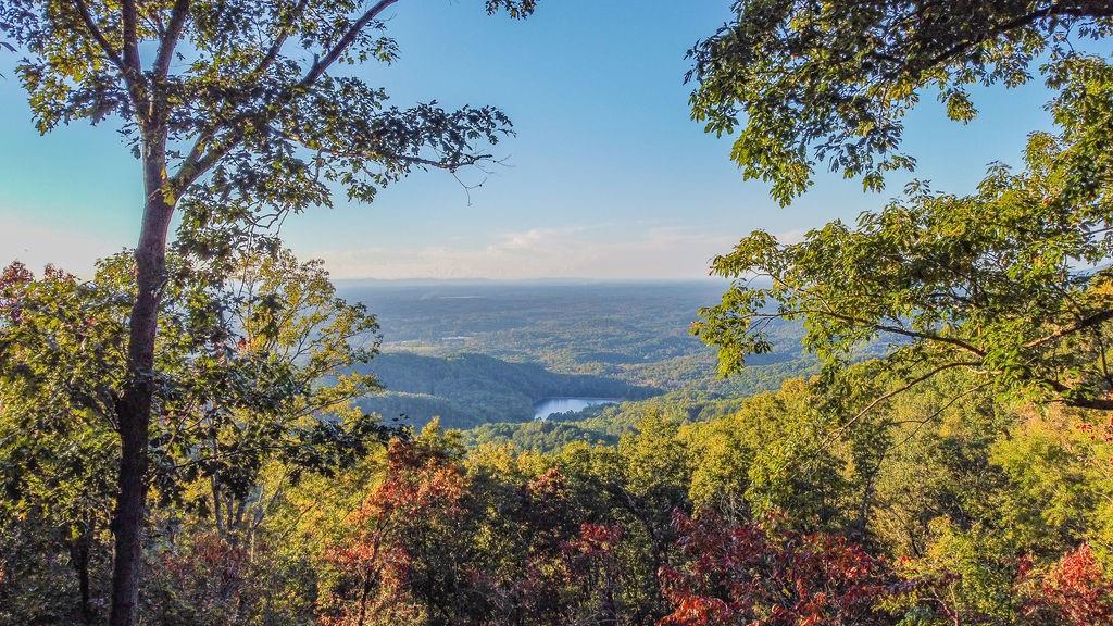 325 Adair Drive Ranger, GA 30734 - Photo 13 of 21 a view of a garden with plants and large trees