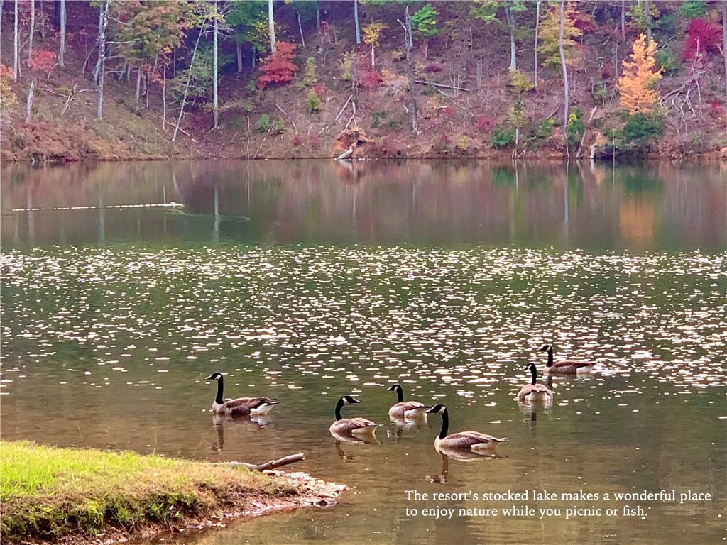 325 Adair Drive Ranger, GA 30734 - Photo 21 of 21 a view of a lake