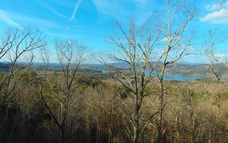 325 Adair Drive Ranger, GA 30734 - Photo 3 of 21