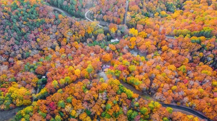 325 Adair Drive Ranger, GA 30734 - Photo 5 of 21 a view of a tree