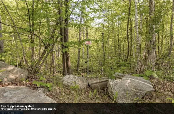 $9,750,000 | 7481 Stone Ridge Road, Orr, MN 55771