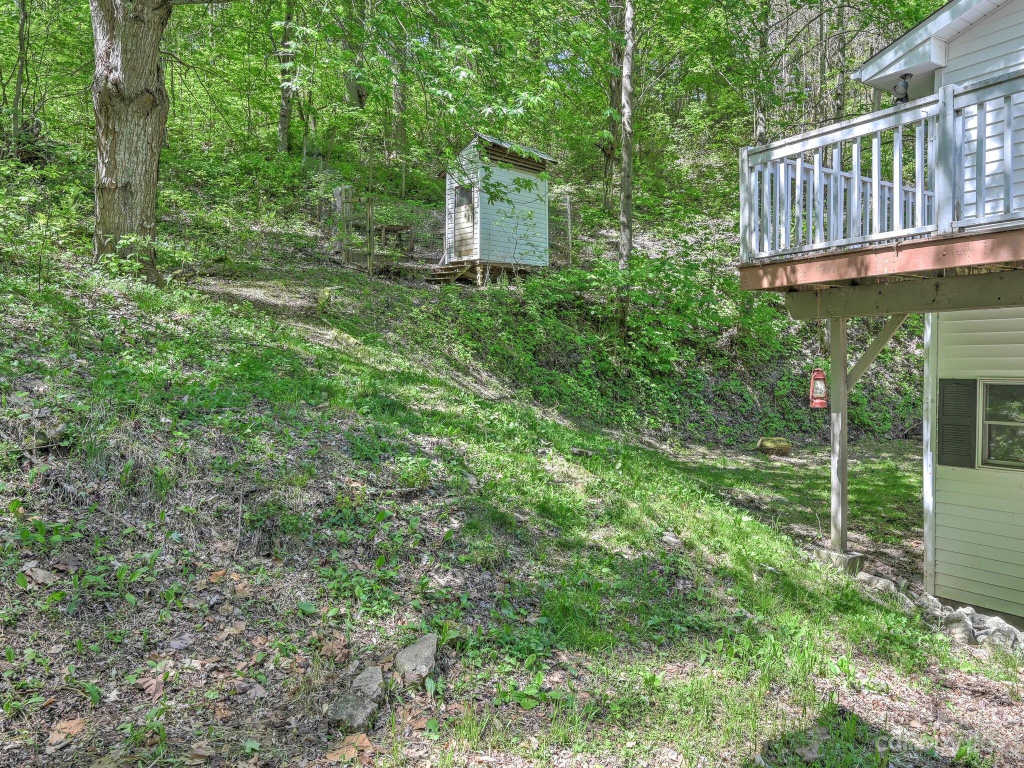 843 North Fork Road Barnardsville, NC 28709 - Photo 25 of 37 a view of a backyard with plants and large trees