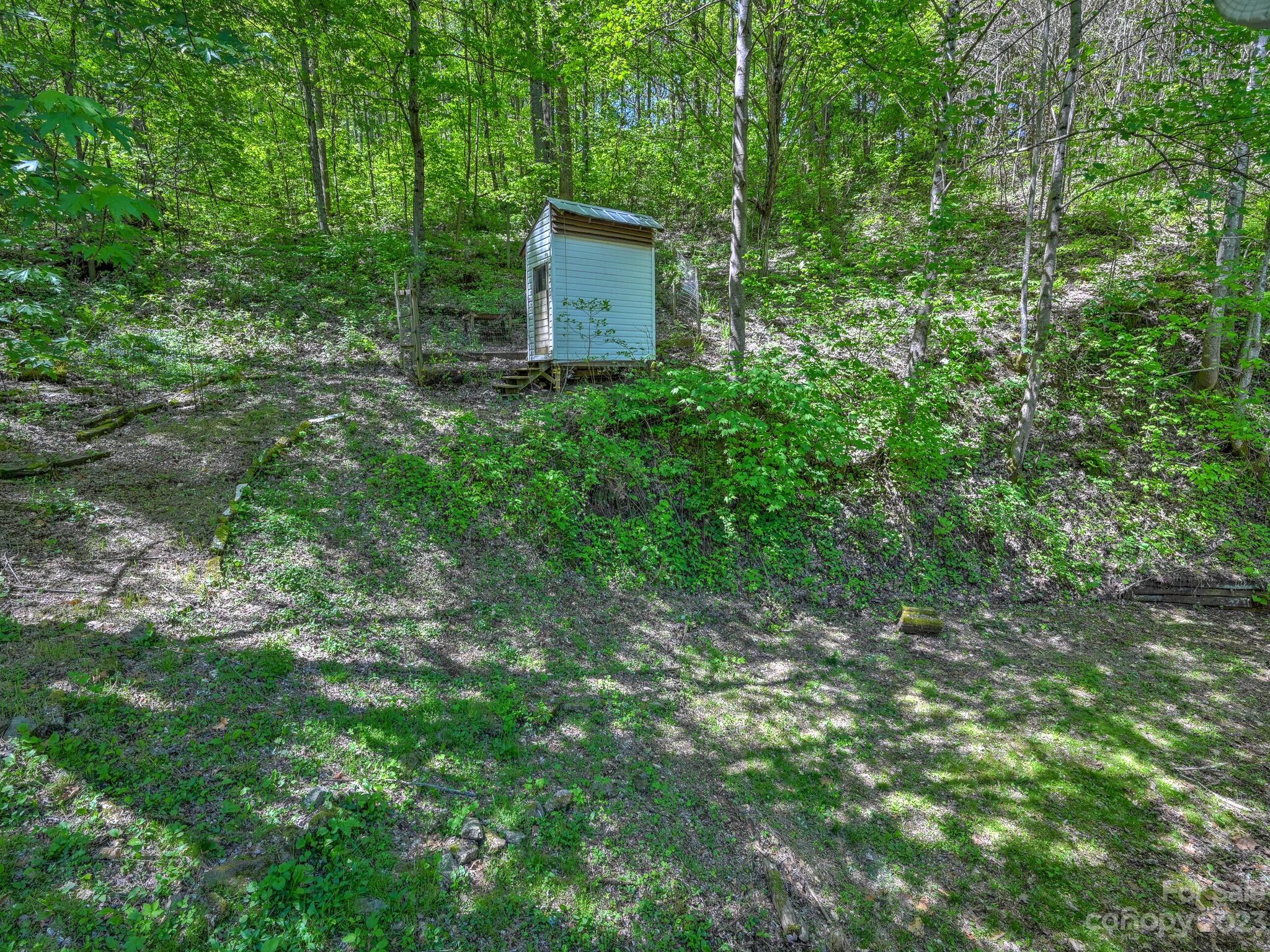 843 North Fork Road Barnardsville, NC 28709 - Photo 26 of 37 a view of a lush green yard with large trees