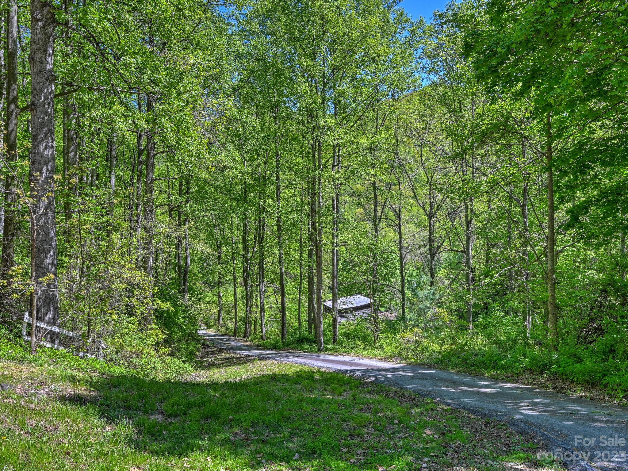 843 North Fork Road Barnardsville, NC 28709 - Photo 27 of 37 a view of a park that has large trees
