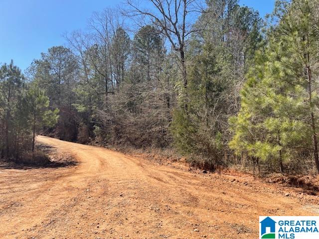 140 County Road, Unit 27± AC Wadley, AL 36276 - Photo 3 of 8