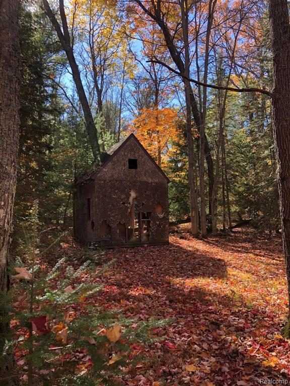 0 Woodbridge Road St. Helen, MI 48656 - Photo 6 of 16