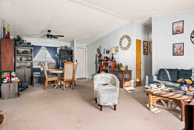 a view of a livingroom with furniture and toys