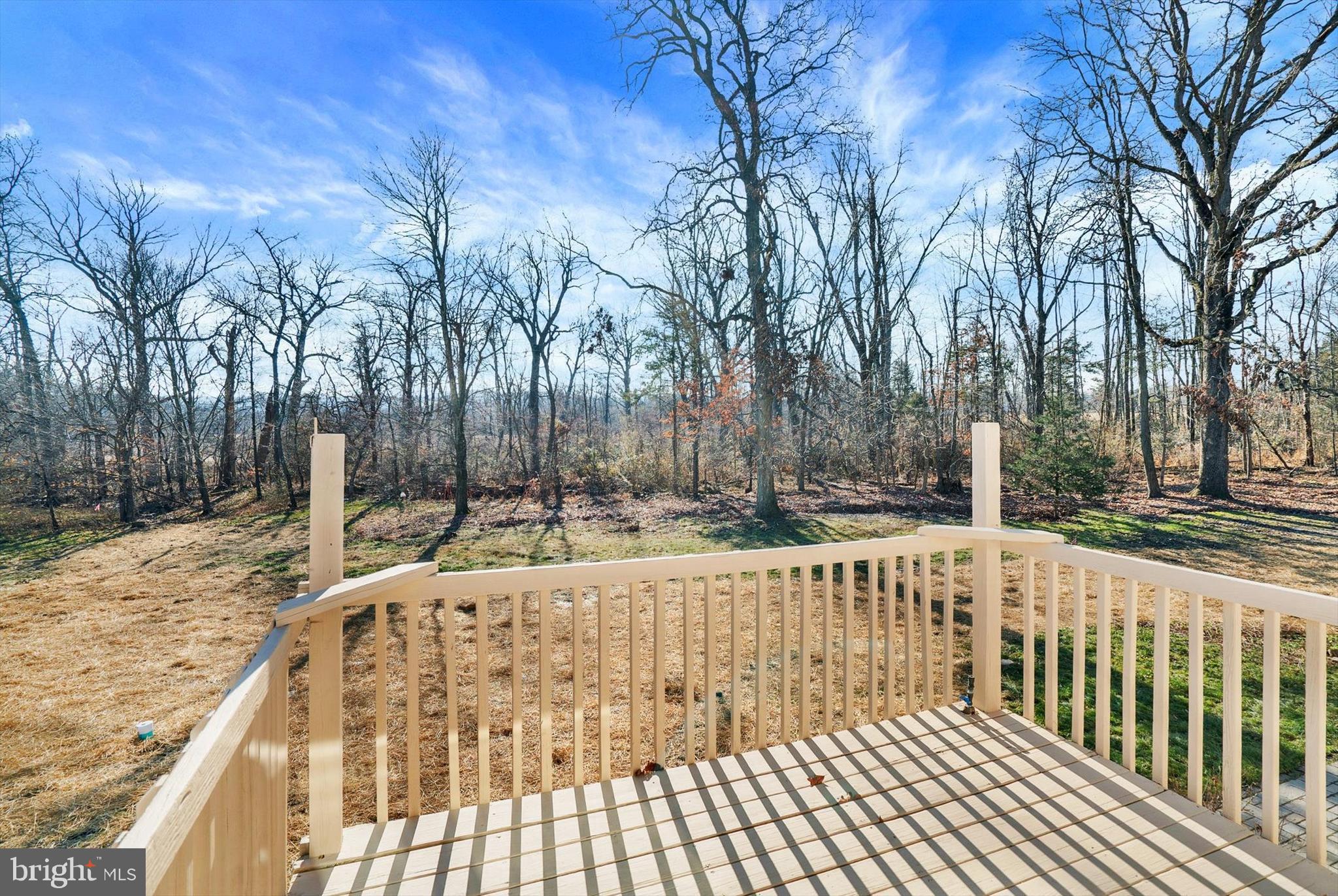 5400 Curley Hill Road Doylestown, PA 18902 - Photo 23 of 47 a view of a yard with trees