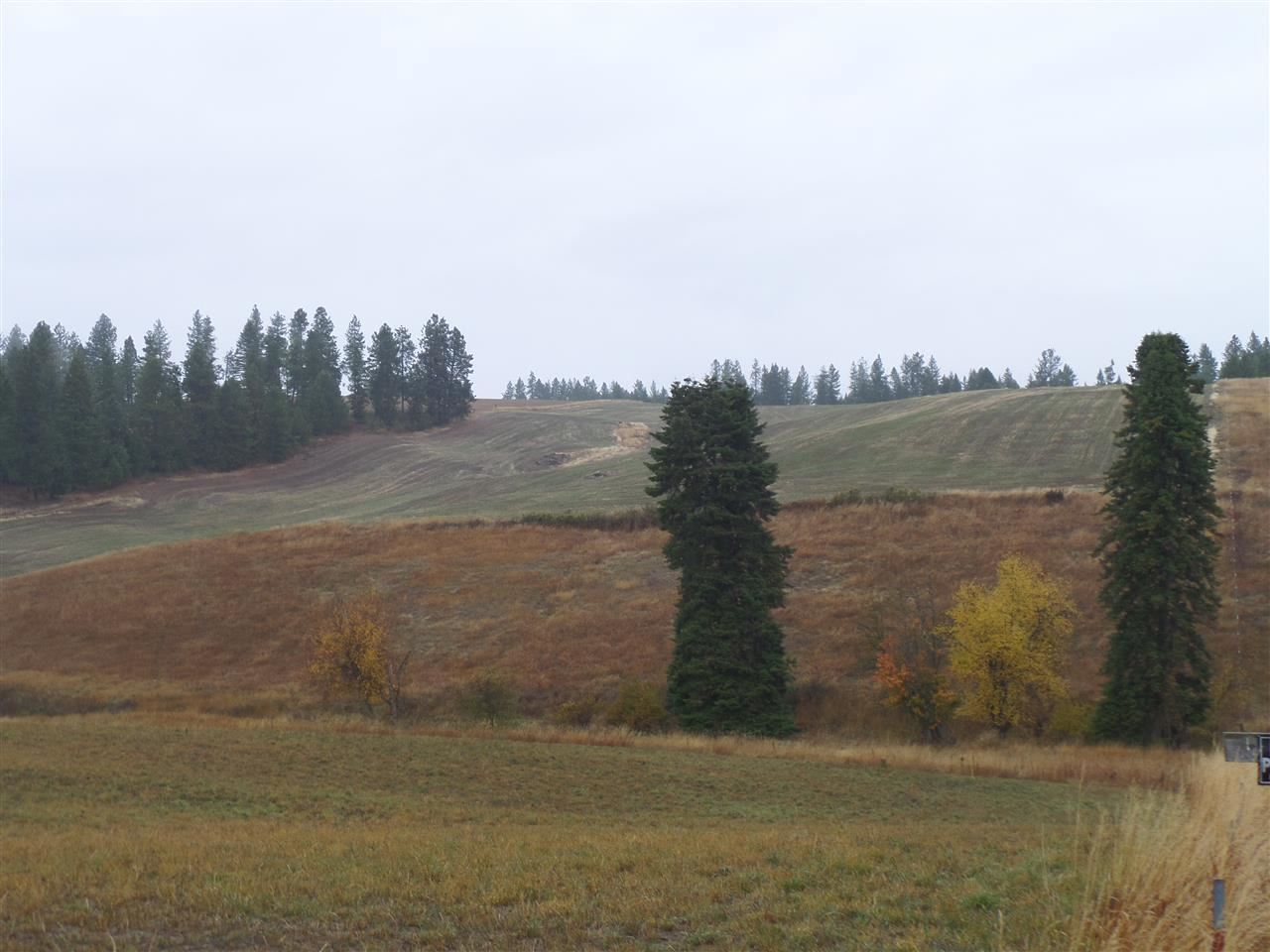 4200 West Ballard Road, Unit PARCEL D Spokane, WA 99208 - Photo 1 of 13 Gallery Image 1