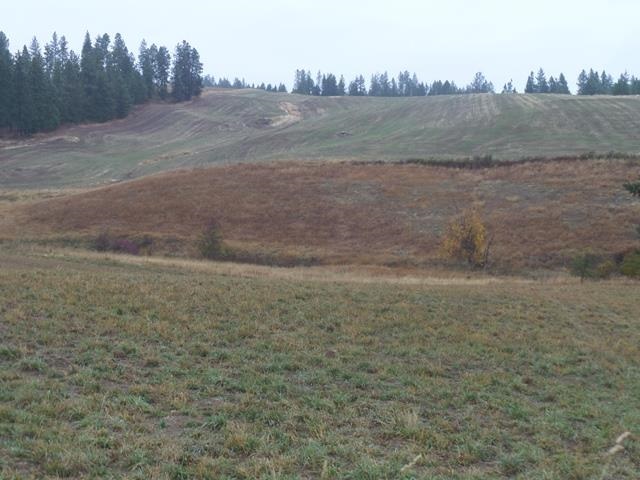 4200 West Ballard Road, Unit PARCEL D Spokane, WA 99208 - Photo 4 of 13 Gallery Image 4