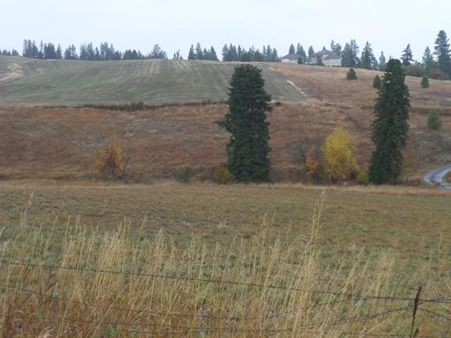 4200 West Ballard Road, Unit PARCEL D Spokane, WA 99208 - Photo 7 of 13 Gallery Image 7