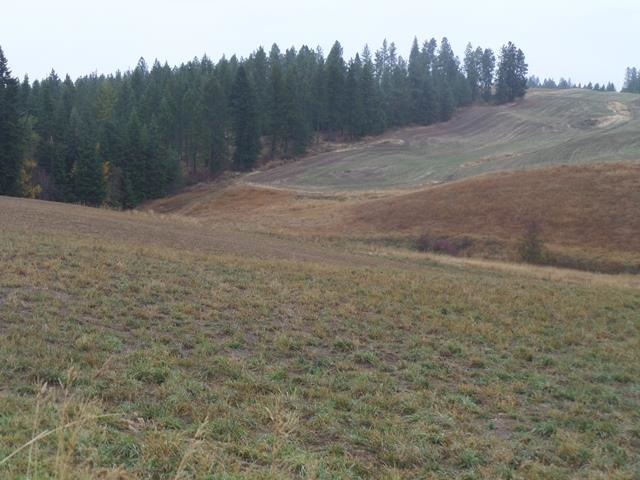 4200 West Ballard Road, Unit PARCEL D Spokane, WA 99208 - Photo 10 of 13 Gallery Image 10