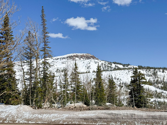 382 Ridgeview Street, Unit 8 & 9 Brian Head, UT 84719 - Photo 4 of 52 Snow-covered mountain landscape featuring a clear blue sky and a foreground of evergreen and deciduous trees