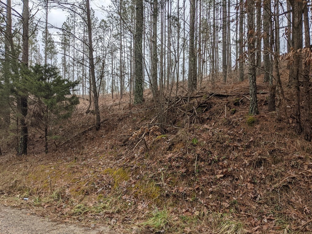 567 Dake Road Decatur, TN 37322 - Photo 15 of 21