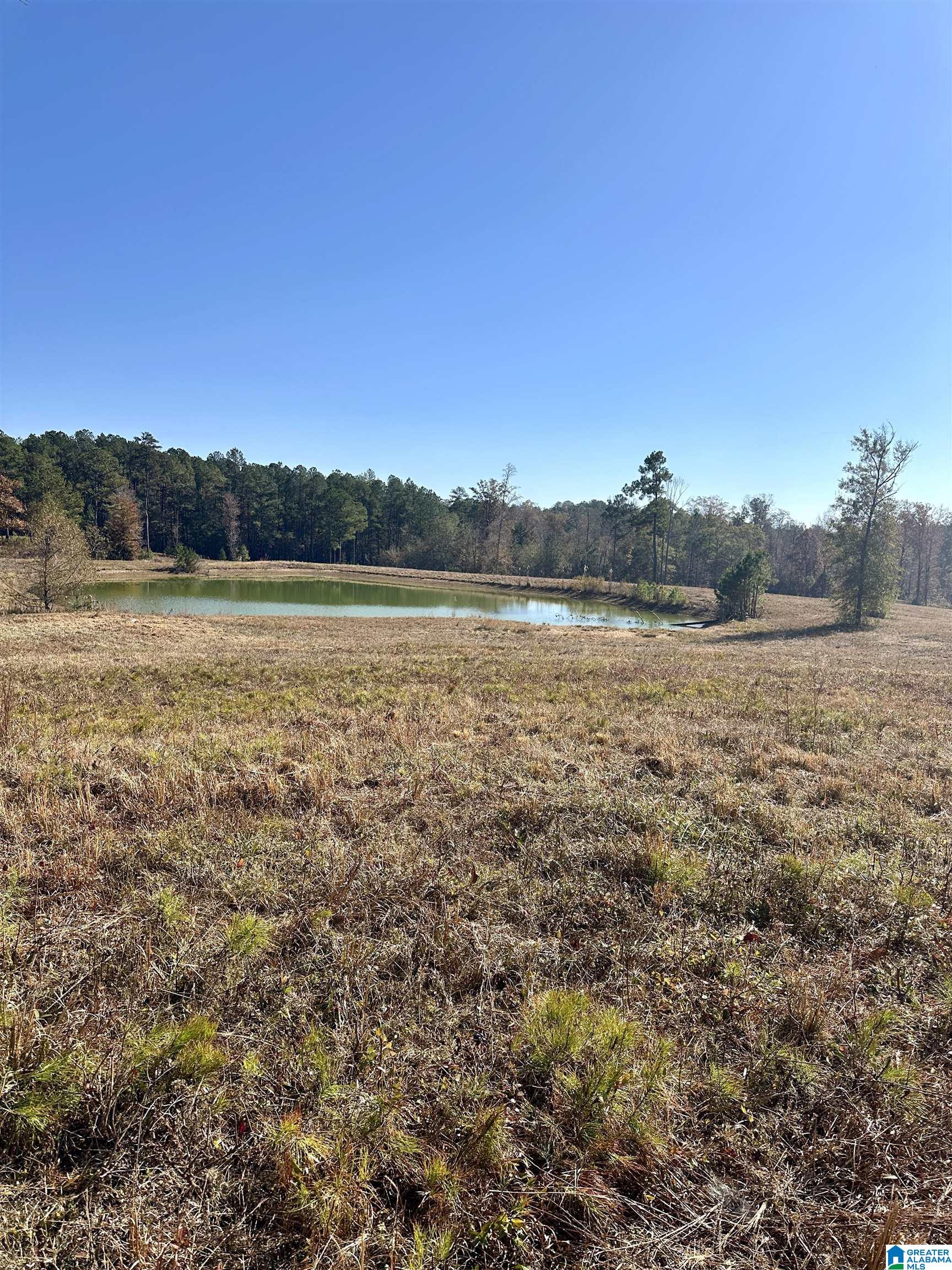 0 Gilberts Ferry Road Ohatchee, AL 36271 - Photo 10 of 11