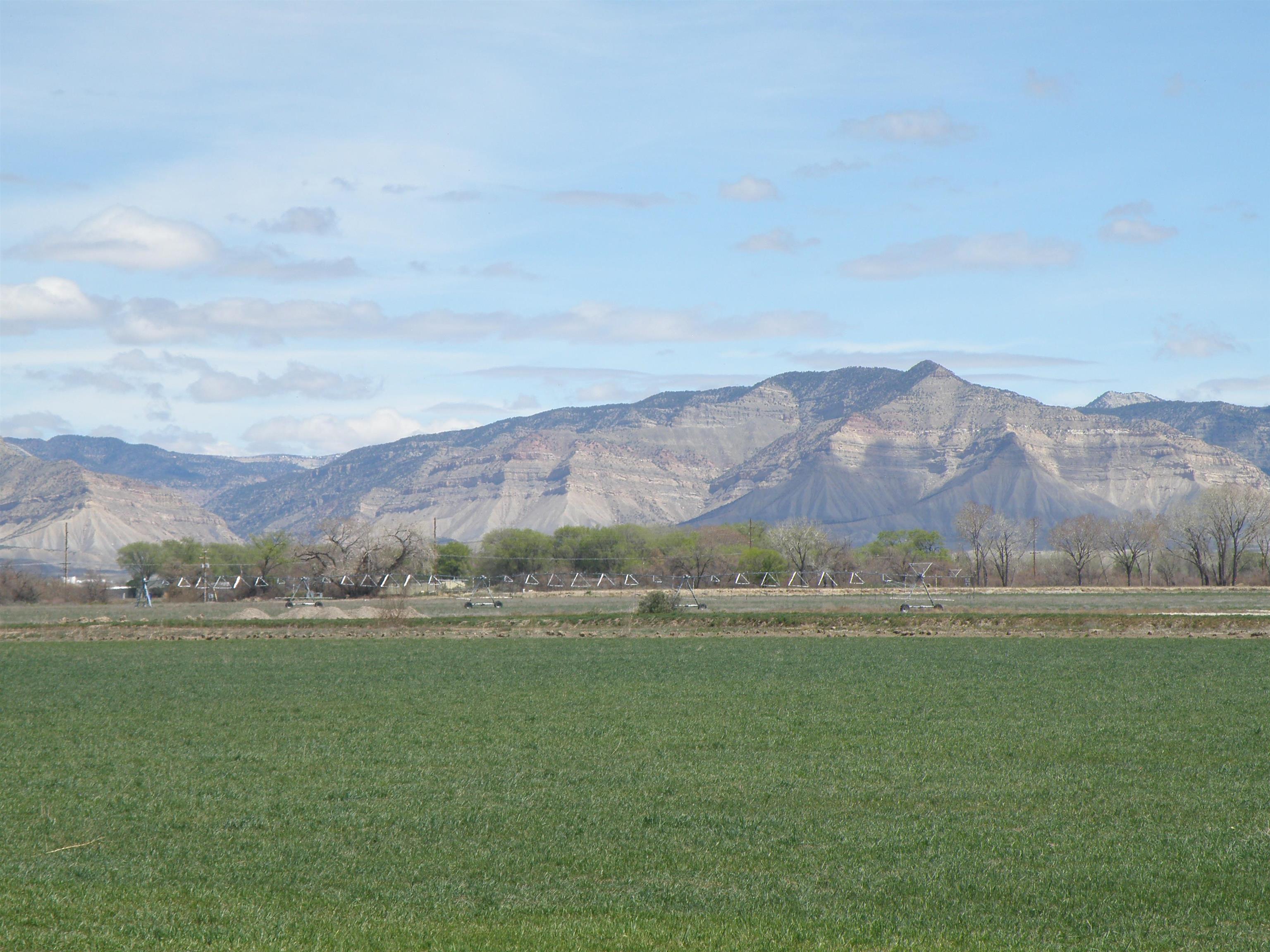 Tbd L Road, Unit 64 04 ACRES Fruita, CO 81521 - Photo 2 of 7 Gallery Image 2