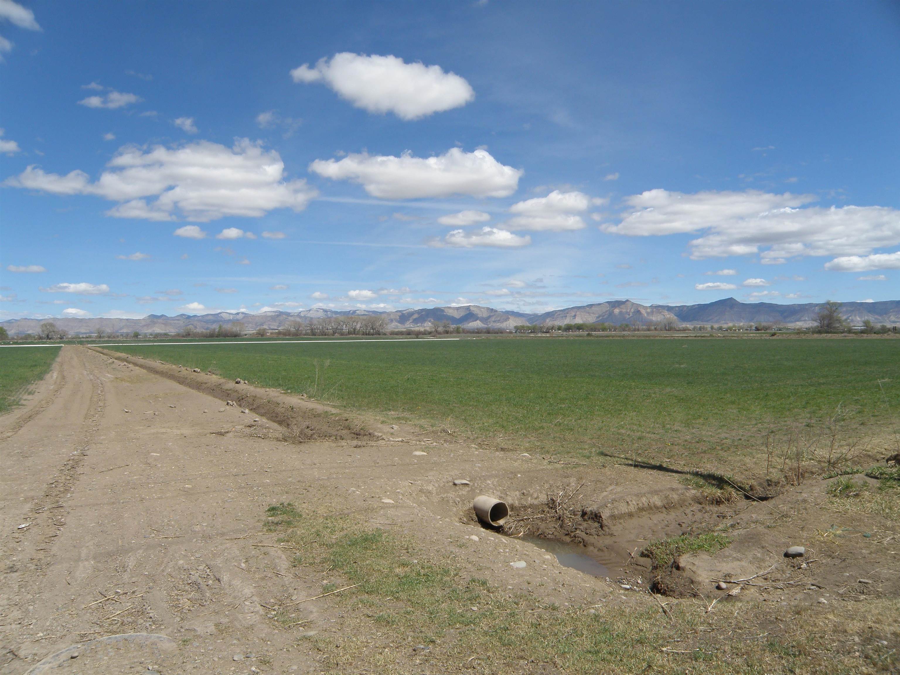 Tbd L Road, Unit 64 04 ACRES Fruita, CO 81521 - Photo 3 of 7 Gallery Image 3
