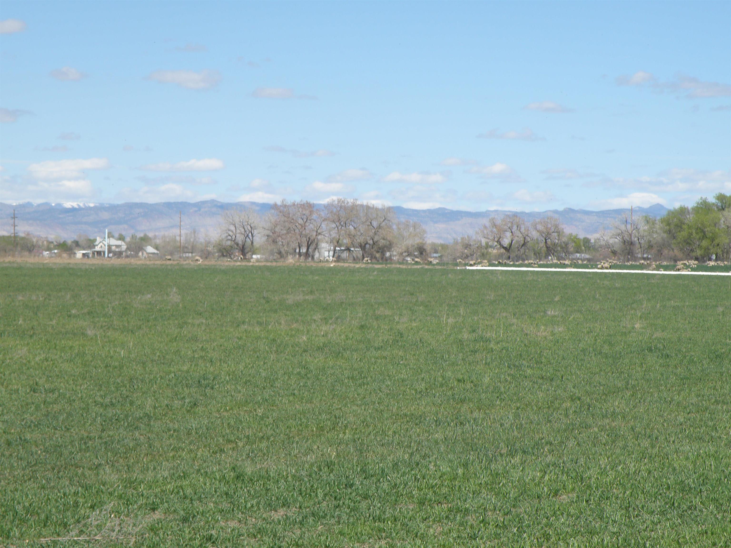 Tbd L Road, Unit 64 04 ACRES Fruita, CO 81521 - Photo 5 of 7 Gallery Image 5