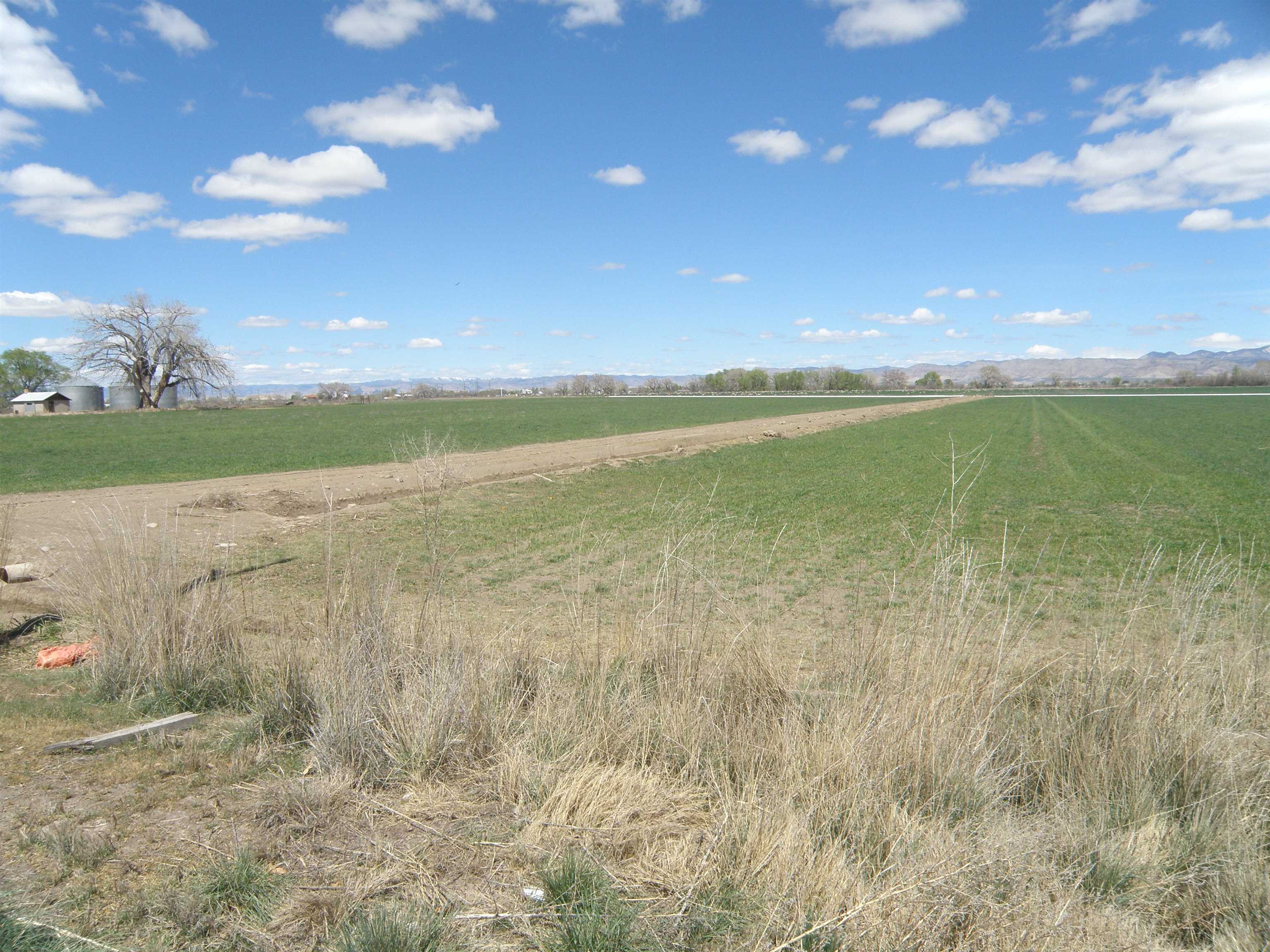 Tbd L Road, Unit 64 04 ACRES Fruita, CO 81521 - Photo 6 of 7 Gallery Image 6