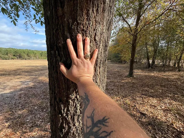 $150,000 | 7498 Sc 39 Highway, Williston, SC 29853