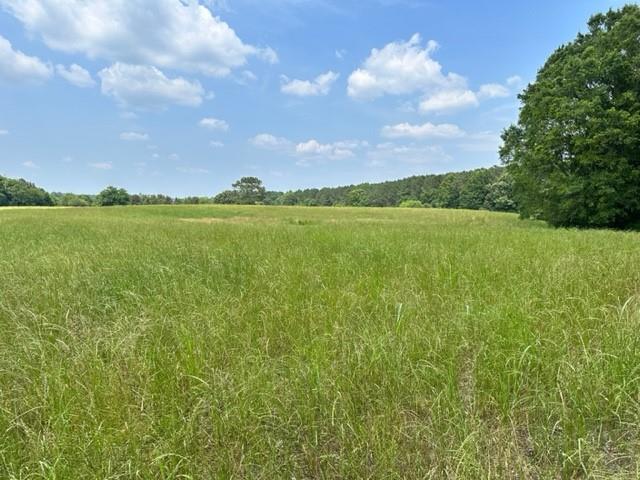 759 Mason Road Southeast Adairsville, GA 30103 - Photo 1 of 1 Gallery Image 1